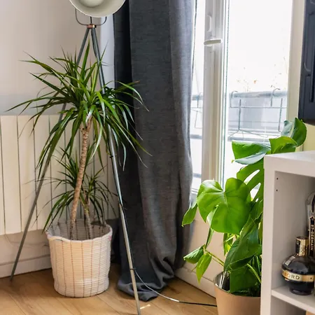 Daire Dana's Parisian Loft
